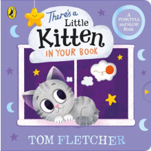 Theres a Little Kitten in Your Book by Tom Fletcher Paperback Book