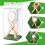 Baseball Display Case, Clear Acrylic Stable & Secure Game  Holder Showcase for Autograph Single 6