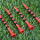 Golf Stripe Wood Ball 83mm 100PCS 3