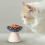 Ceramic Elevated Cat Bowl with Polka Dot Design 3