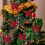 Velvet Christmas Bows Rustic Style 6 Pack 4
