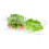 TACILIP kitchen storage boxes for fridge and freezer 6-pack 6