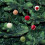Christmas Tree Decorations Blue Wool Balls 24pcs 5