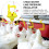 Chicken water line regulator 1 pc 4