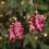 Christmas Ball Pendant Set Red Plastic Electroplated 2pcs 4
