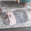 Sac de couchage pour chat et chien, lit tunnel confortable, petits chiens 6