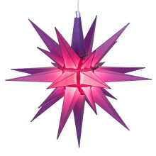 Mardi Gras LED rope light decoration set