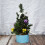 Mini Christmas Tree Purple Artificial Desktop Decor 5