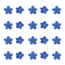 Blue Forget Me Not Flowers Dried Pressed 20PCS