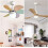 Sports Ceiling Fan Pull Chains 4-Pack 14 Inch 6