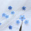 Blue Forget Me Not Flowers Dried Pressed 20PCS 5