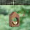 Quinlirra brass doorbell with solid wood casing 7