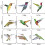 Anti-Collision Window Clings Hummingbird Design 4-Pack 5
