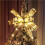 ZOELNIC kerstverlichting goudwit 198 cm 20 LED's 2