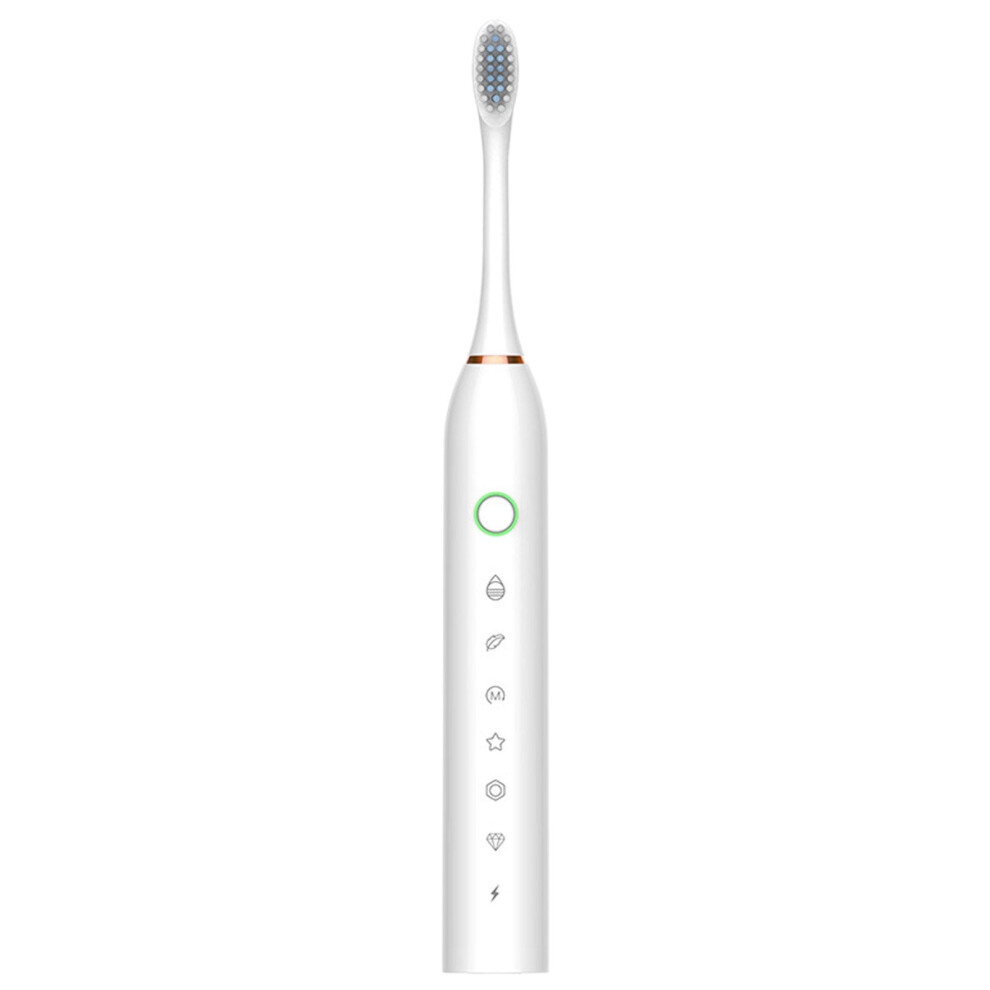 Electric Toothbrush with 4 Brush Heads and Charging Box