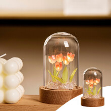 Trealamh Solais Oíche Tiúilipe le haghaidh Ceardaíocht Terrarium DIY