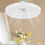 Ceiling Fan with Light | Slim Ceiling Fan with Remote Control | 3 Adjustable Speeds 5