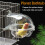 Clear Small Bird Bathtub with Removable Cage 5