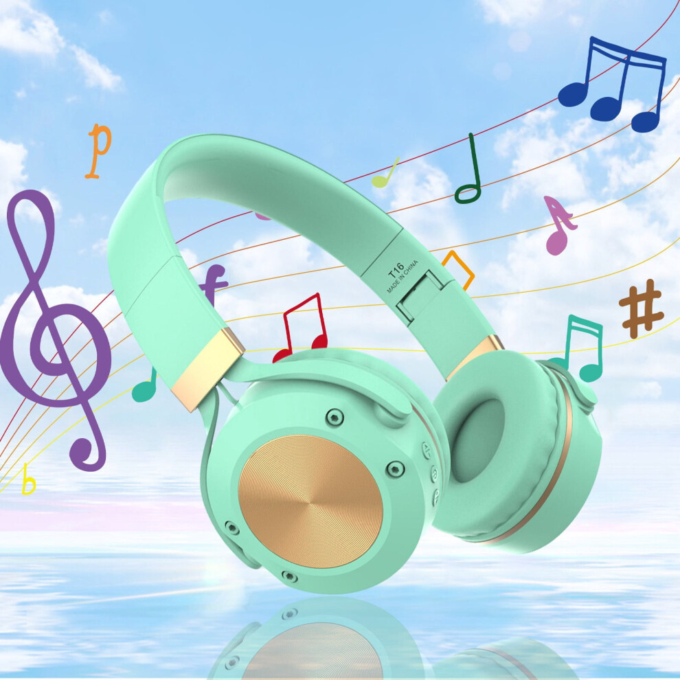 Lulshou Bluetooth Headphones With Mic, 10 Hours, Bluetooth 971050955407