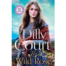 WILD ROSE PB by Dilly Court Paperback Book