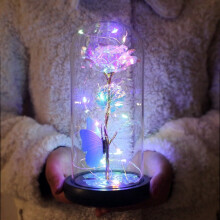 LOOPSUN Valentinsdag-udsalg 2024! Glødende guldfolie-rose LED-natlampe med glasskærm til din kæreste på Valentinsdag