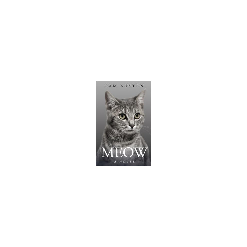 Meow A Novel by Sam Austen Paperback Book
