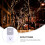 Outdoor Timing Socket Dusk-to-Dawn Timer 2 pcs 6