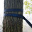 Reinforced Polyester Strap Black 2.5m 8