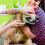 Jacenvly Christmas indoor pet toothbrush set 2 pcs 4