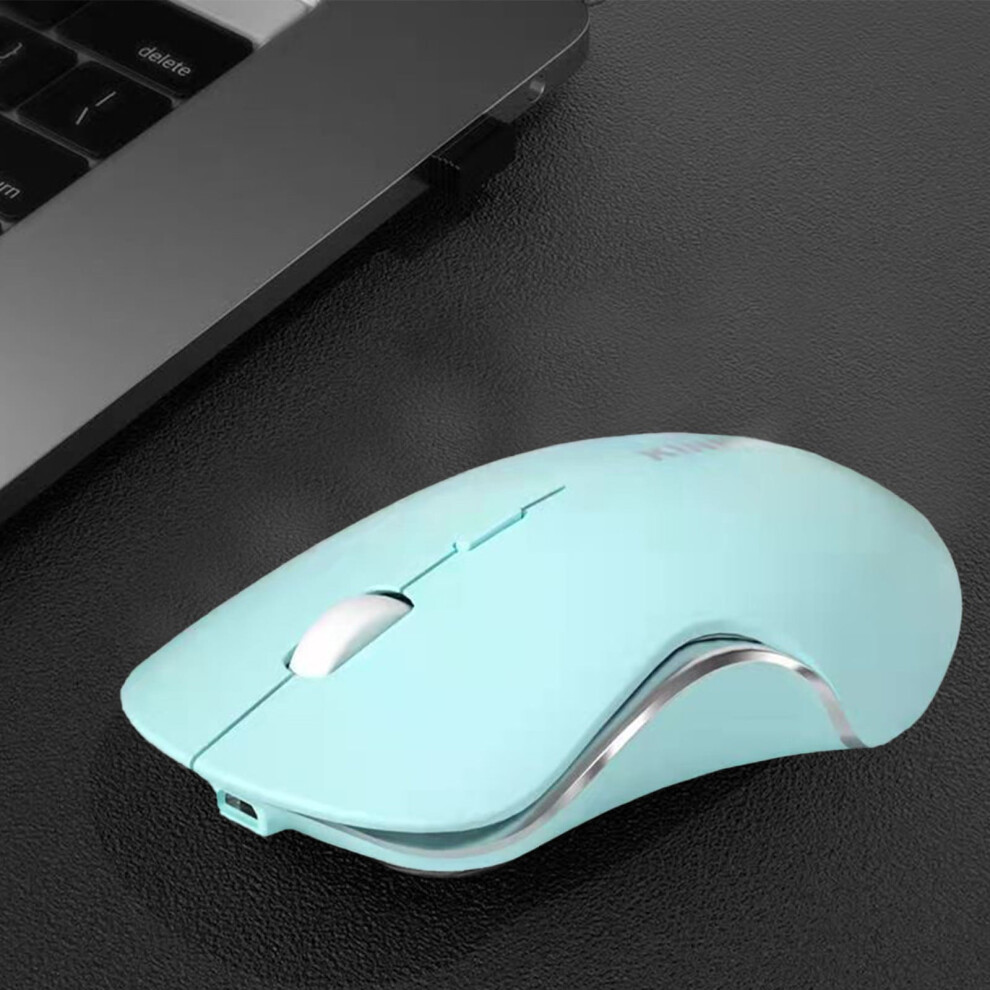 Wireless Mouse Ergonomic Silent Click 1600 Dpi 908436407076