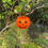 Halloween-Kürbis-Eimer für Kinder, Plastik-Süßigkeiteneimer, 10 cm 5