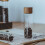 1pc50ml γυάλινος σωλήνας καφέ κόκκων με ξύλινο εργαλείο εμφιαλωμένους σωλήνες 1