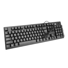 Full-Size USB Keyboard with Numeric Keypad