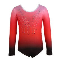 Girls' long sleeve metallic leotard for dance and gymnastics