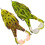 Double Propeller Frog Fishing Lure Silicone 2-Pack 1