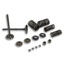 14711-KSP-910 Kit de Resortes de Válvula de Motor de Motocicleta, Sello de Vástago de Admisión de Admisión para CBF150 XR150 KTT150 SDH150