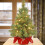 Weloille 24-inch pre-lit flocked mini Christmas tree with 6