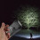 Lampe torche à manivelle LED rechargeable pour les situations d'urgence 6