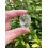 Clear Quartz Tumbled Stones 0.75-1.25 inches 6