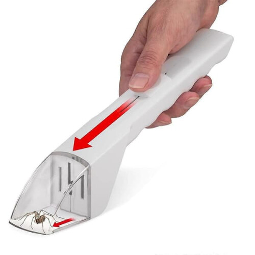 Handheld Insect Catcher for Spiders and Bees