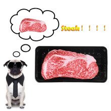 Store besparelser i ferien! Livaktig simulert biff-ekstruderingsleke Knirkende tyggeleke Morsom leke for hund Flotte gaver til en lavere pris på salg