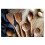 Set da cucina con utensili in legno, 12 pezzi 4