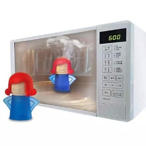 Steam Cleaner for Oven Microwave Refrigerator 2