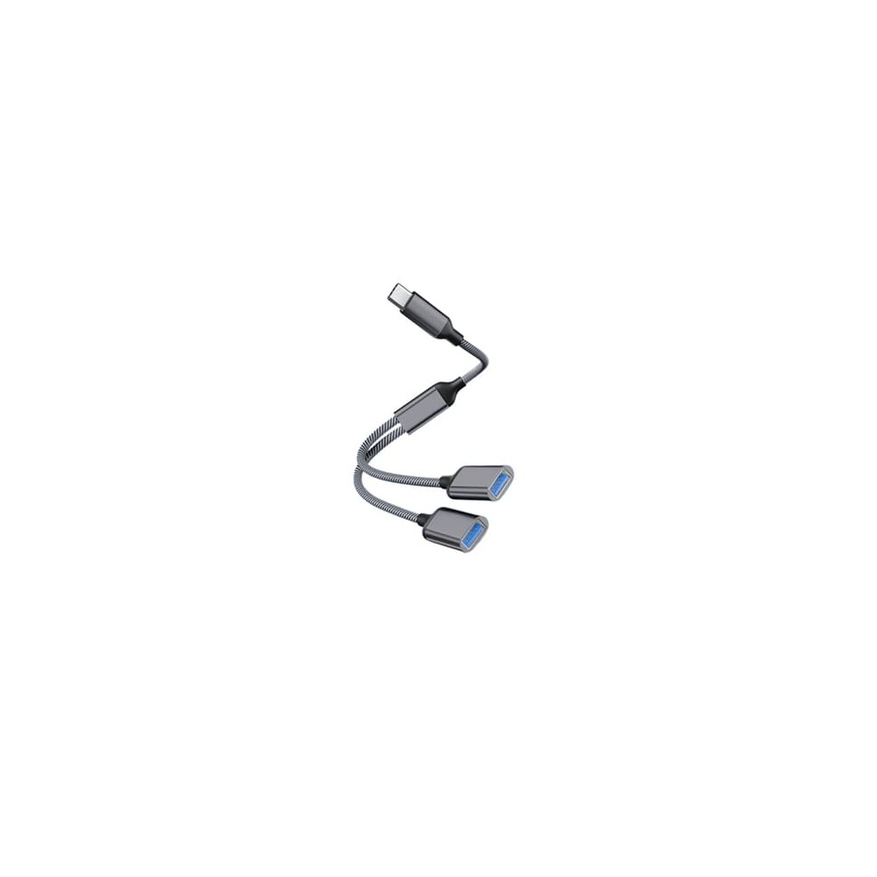 Type-C To Dual Usb 2.0 Adapter Gray 962029564157
