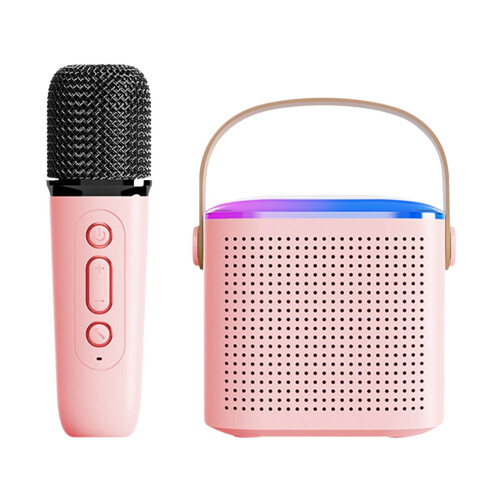 Quinlirra Bluetooth speaker with mic 2-in-1 karaoke system 1