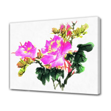 Pfingstrosen-Leinwandposter, Schlafzimmerdekoration, Sportlandschaft, Bürodekoration, Geschenk, Rahmenstil, 8 x 12 Zoll (20 x 30 cm)