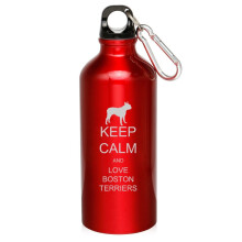 Aluminum Sports Water Bottle 20 oz Red with Carabiner Clip
