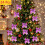Purple Christmas Bows 5.5cm 24 Pcs 1