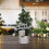 Mini Artificial Christmas Trees Gold Silver Red 20x5.5cm 1