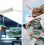 Πλεγμένο μεταλλικό σύρμα από κονσερβοποιημένο χαλκό 13ft9mm για γείωση και μείωση 5
